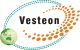 Shandong Vesteon Automotive Parts Co., Ltd