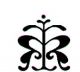 Parul Home Design