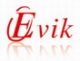 Evik Technology Co_Ltd