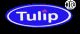 Ningbo Tulip Electron Co., LTd