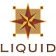 LIQUID BRONZE, INC.