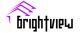Brightview Industrial Co., LTD