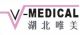 Hubei V-Medical Products Co., Ltd.