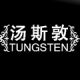 Shenzhen Tungsten Jewelry Co. Ltd