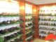 Pingpongshou Shoe Co, .Ltd