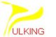 Shenzhen Ulking Technology Co., Ltd