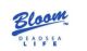 Bloom Dead Sea Gift Enterprise