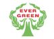 EVERGREEN TECHNOLOGY CO LTD