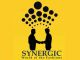 Synergic Fashions Ltd