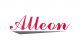 Shanghai Alleon Import and Export Co., Ltd