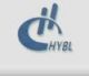 Hoyo Glass Co., Ltd