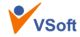 Vsoft Services and Solutions