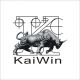 Kaiwin Electronics Co., Ltd