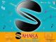 SAHARA GROUP INC