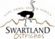 Swartland Ostriches