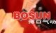 Yueqing Bosun Pneumatic Equipment Co.,Ltd