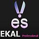 Ekal Professional