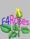 4 roses fashion accessories