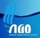 NGO CHEMICAL DEVELOP GROUP LTD