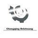 Chongqing Beichuang Mechanical&Electrical Technology Co., Ltd.