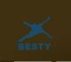BESTY(HK)LTD