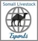 Somali Trade Network