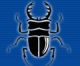 Ningbo Beetle Air Tools Co., Ltd