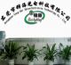 Dongguan Feng Hai Optoelectronics Technology Co., Ltd.