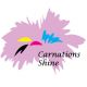 Carnations Shine Enterprise Co., Ltd