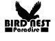 Bird Nest Paradise