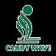 Caddy Wave Technology Co.,LTD