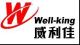Well King precision mold co., ltd