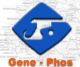 Gui Zhou Weng Fu Gene-Phos Chemicals Storck CO.Ltd
