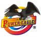 Dongguan Power Eagle Luricant Technology Ltd