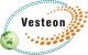 Shandong Vesteon Automotive Parts (Group) Co., Ltd
