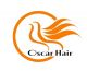 Heze oscar hair products co., Ltd