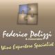 Federico Polizzi & Associates