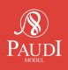 PaudiModel Technology Company Ltd