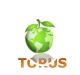 torus co, LTD