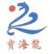 Qingdao B.H.Dragon training heads Co., ltd