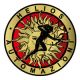 HELIOS AUTOMAZIONI SRL