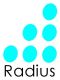 Radius Corporation Ltd.