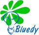 Bluedy Lighting Co., Ltd