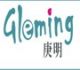Shenzhen Gleming