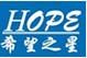 shen zhen hopestar sci-tech com., ltd
