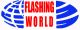 Shenzhen Flashing Electronic Co., Ltd