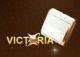 wenzhou victor electrica appliance co, .ltd