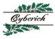 Cyberich industria co., ltd