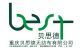 Chongqing Best Nonwoven Co., Ltd.