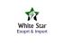 White Star Mining